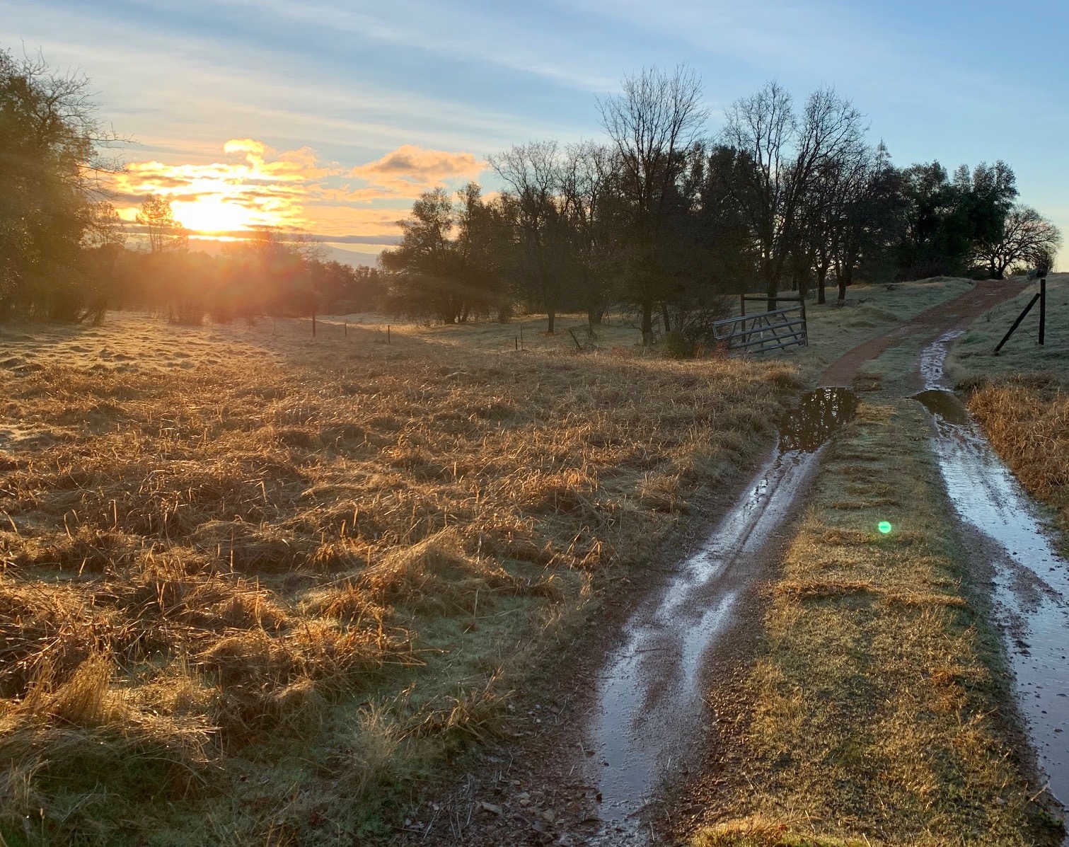Retreat landscape